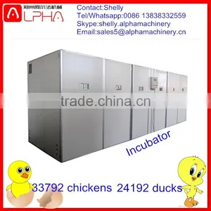 Commercial Egg Incubator for Sale Egg Incubator Hatchery Price thumbnail-1