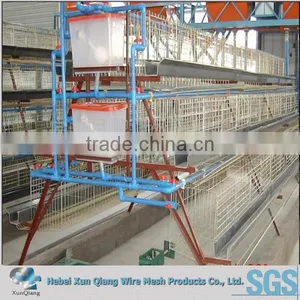 128birds Design Layer Chicken Cages for Kenya Hen Farm thumbnail-1