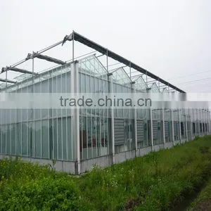 Agriculture Greenhouse Hydroponic System Vertical thumbnail-1