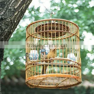 Birdcage thumbnail-1