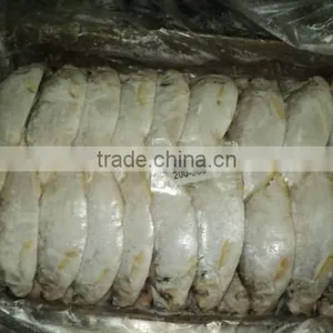 Katti Fish thumbnail-1