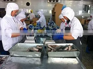 Taizhou Huatong Aquatic Products Co., Ltd. company overview - view 2 thumbnail