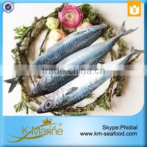 China Frozen Scomber Japonicus thumbnail-1