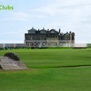 Women's Golf Player Shoes Leather Golf Shoes Custom Designed for Golf for Promotion thumbnail-6