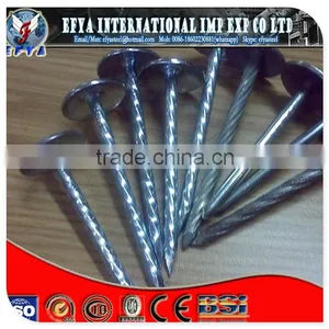 Coil Roofing Nail thumbnail-1