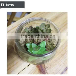 Artificial Table Decoration Small Plants Preserved Plant for Office Decoration Artificial Mini Bonsai Decoration thumbnail-2