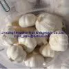 China Fresh Garlic thumbnail-1