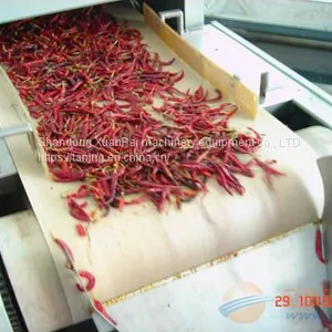 Wood Drying Equipment thumbnail-1