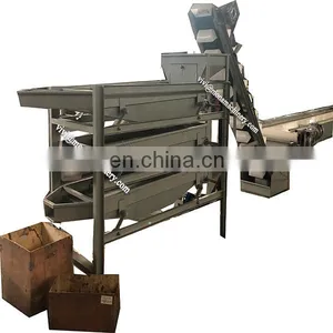 Commercial Pecan Nut Cracking Shelling Hulling Sheller Huller Black Walnut Cracker Machine thumbnail-2