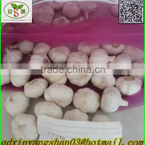 Fresh Pure White Garlic Price in China thumbnail-4