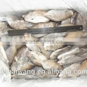 Frozen Butterfish in Fresh Seafood POMPANO thumbnail-1