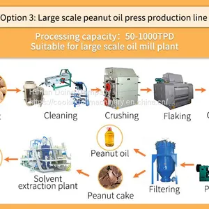 Home Use Groundnut Oil Expeller Groundnut Oil Production Machine Small Scale Groundnut Oil Processing Equipment thumbnail-2