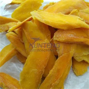 Mango Jerky Making Production Line Mango Peach Kiwifruit Drying Machine EPC thumbnail-2
