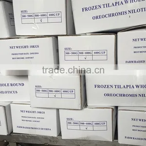 Good Quality Frozen Tilapia Chinese Factory Wholesale Price thumbnail-2
