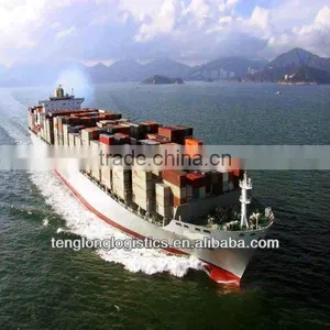 Sea Shipping Logistics to Damietta of Egypt From Shenzhen Shantou thumbnail-1