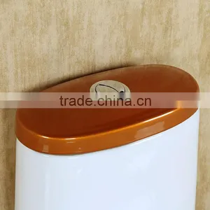 1999DG Matte Colourful Ceramic Children Water Closet thumbnail-6