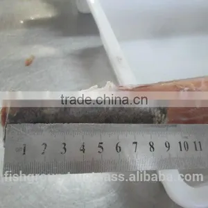 YELLOWFIN TUNA LOINS WITH ONE INCH SKIN PATCH thumbnail-5