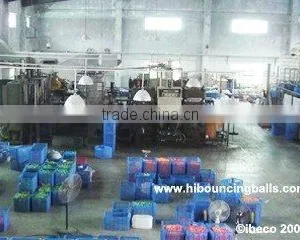 Ibeco Toys (Shenzhen) Co., Ltd. company overview - view 2 thumbnail