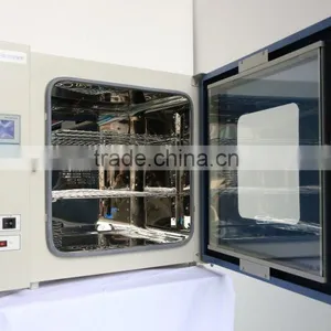 Chinese Drying Oven thumbnail-1