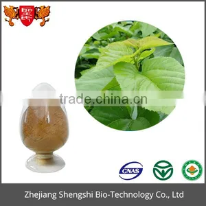 Best Price Food Grade Product Green Organic Mulberry Leaf Extract Powder thumbnail-1