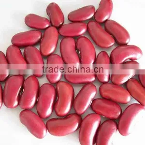 We Are Supply Kidney Beans, Dark Red Kidney Beans for Sale thumbnail-1