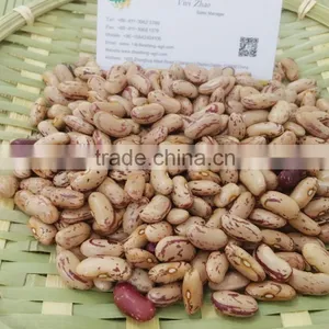 Long Type Light Speckled Kidney Beans New Crop thumbnail-2