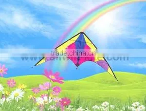Dual Line Delta Stunt Kites - Curved Edge Kites thumbnail-1