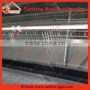 Battery Pullet Rearing Cage Poultry Equipment thumbnail-6