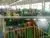 HR Cut Line, Cutting Line, Coil Cutting Line thumbnail-1