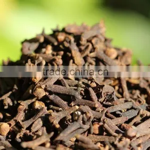 SUPPLY CLOVES (Call: +84 1687264621) thumbnail-1