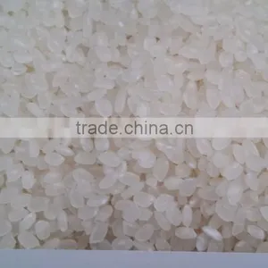 JAPONICA RICE CROP 2015 thumbnail-1