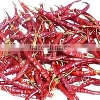 Indian Red Chili thumbnail-1