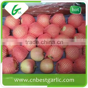 Fresh Chinese New Crop Red Gala Apple Wholesales thumbnail-2