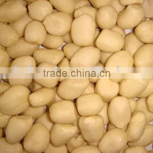 Chinese Fresh Blanced Peanuts thumbnail-1