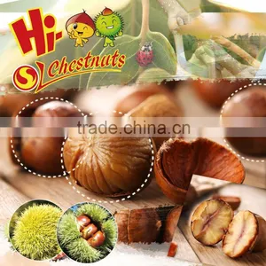 Halal and Kosher Nuts Snacks---Ready to Eat Chestnuts Snacks thumbnail-5