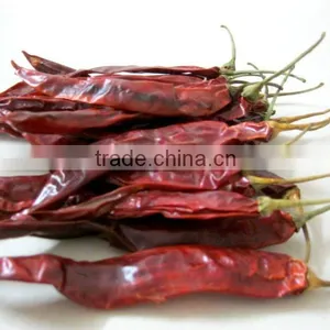 Chillies thumbnail-3
