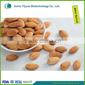 Bitter Apricot Kernel/Sweet Apricot Kernel thumbnail-3