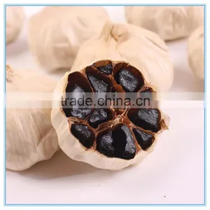 Chinese Fermented Black Garlic to Machine thumbnail-1