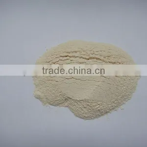 2013 Dehydrated Onion Powder thumbnail-1