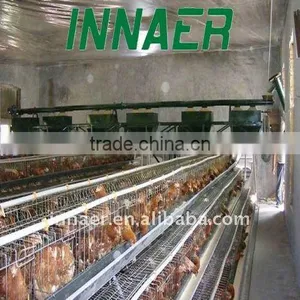 Poultry Layers/broilers Automatic Feeding System thumbnail-1