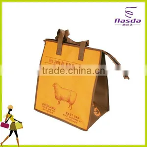 Good Quality Factory Direct Best Price Insulated Cooler Bag thumbnail-1