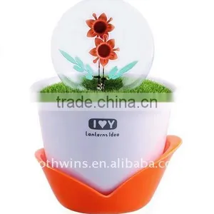 Flower Sparkle thumbnail-1