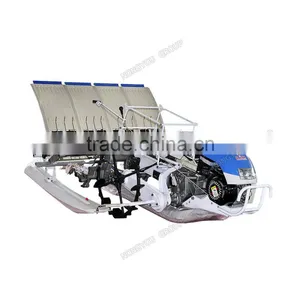Paddy Seedlings China Factory Hand Paddy Seedlings Manual Paddy Seedlings 2ZS-4A thumbnail-2