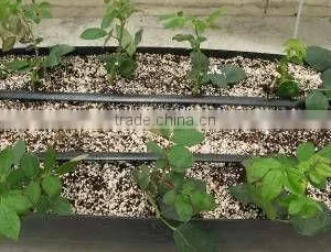 Arrow Dripping Irrigation System for Greenhouse thumbnail-1