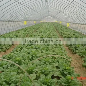 PE Cover Film PE Greemhouse Film for Vegetable Greenhouse thumbnail-1
