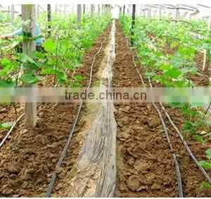 Drip Irrigation Pipe Price thumbnail-6