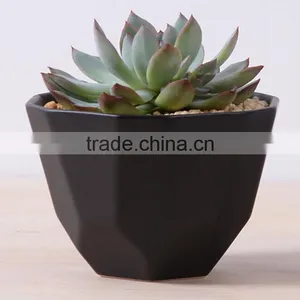 2016 New Design Irregular Ceramic Succulent Planter thumbnail-2
