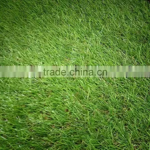 Decorative Carpet Artificial Truf Grass thumbnail-1