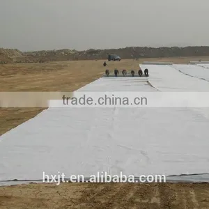 Top Quality Low Price HDPE Composite Geomembrane for Traffic Tunnel Factory thumbnail-6