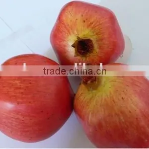 3 Big Artificial Weighted Pomegranates Fake Faux Fruits for Home Decor thumbnail-1